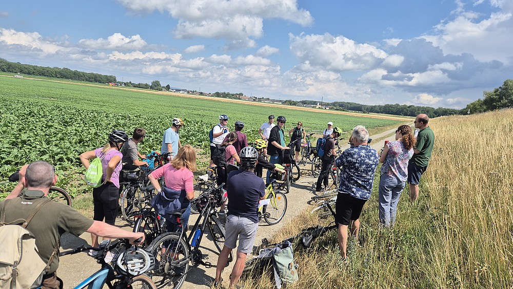 Gruppe auf Rädern, stehend, Felder