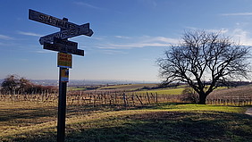 Blick auf das Gebiet